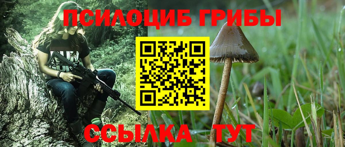 Галлюциногенные грибы мухоморы  продажа наркотиков  Иркутск  Вход с VPN 