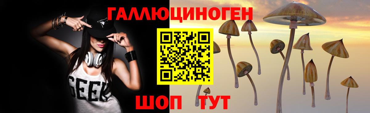 Псилоцибиновые грибы мицелий Иркутск